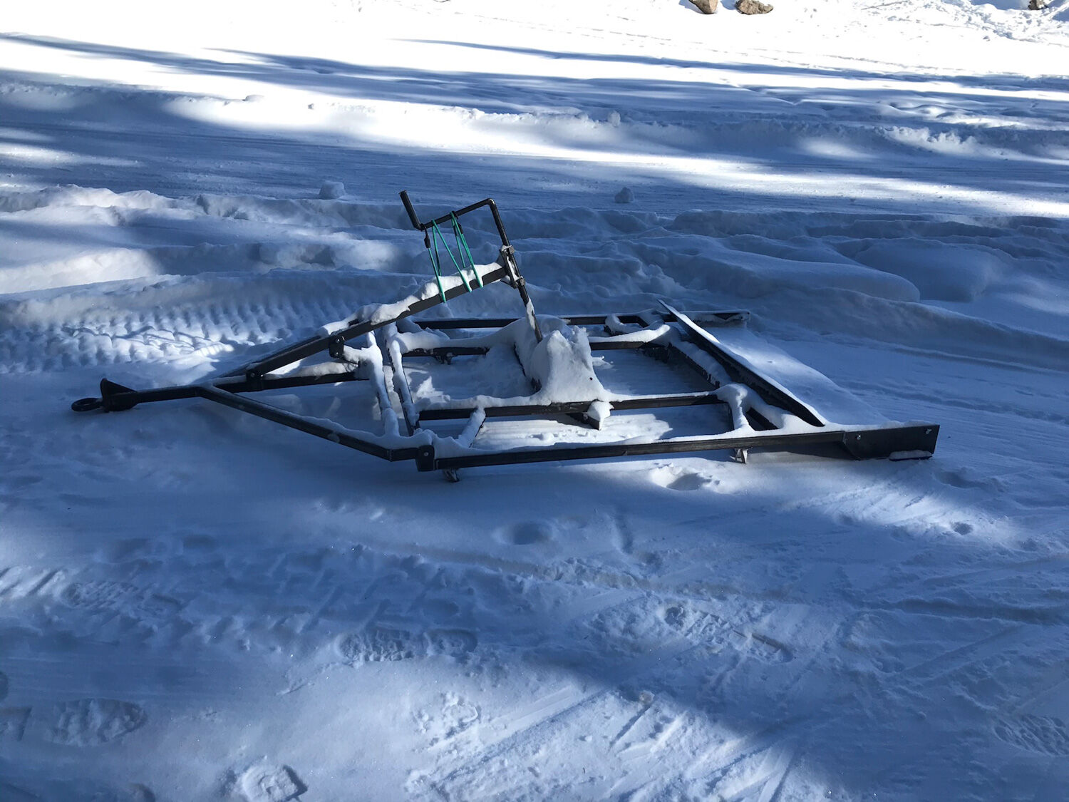 Lions grader